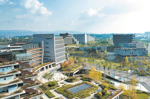 點亮 下線 通航 成都高質(zhì)量發(fā)展按下 快進(jìn)鍵