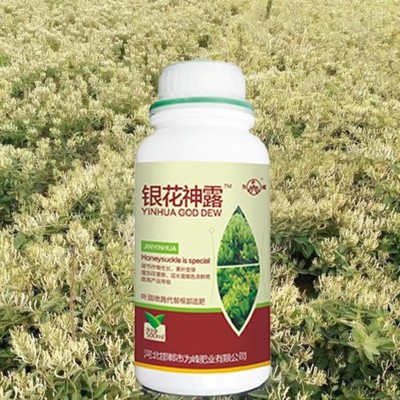 為峰肥業(yè)金銀花高產(chǎn)水溶肥 打造葉面肥代理新模式，助金銀花種植增效提質(zhì)